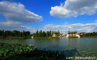 中國千強(qiáng)鎮(zhèn)前十強(qiáng) 被江蘇 廣東兩省瓜分殆盡,浙江無一入圍