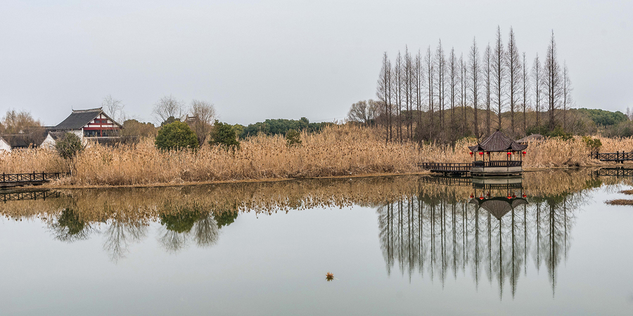 【沙家浜映畫:2019年春節(jié)拍攝于常熟市沙家浜蘆葦蕩風(fēng)景區(qū)攝影圖片】風(fēng)光