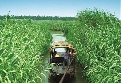 權(quán)威發(fā)布,常熟全市A級景區(qū)恢復(fù)對外開放!