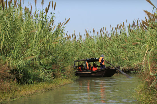 蕩起雙槳劃走冬天 江蘇春天泛舟好去處 (2)_新浪旅游_新浪網(wǎng)