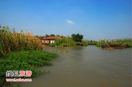 國(guó)慶預(yù)演 尋個(gè)鄉(xiāng)野味十足的悠閑地