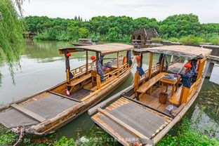 蘆蕩唱晚,夜宿沙家浜,枕著蟲鳴入睡 樂途旅游網