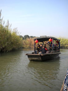 20101120 蘆葦蕩 沙家浜