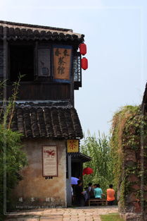 沙家浜游記——常熟水鄉(xiāng)風韻與紅色記憶的完美交融