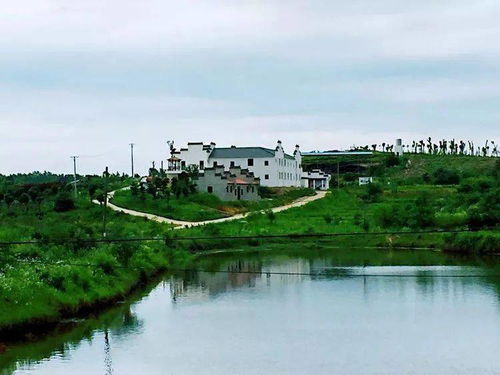 新洲民宿與沙家浜深度游攻略 | 江南水鄉的詩意棲居與紅色記憶之旅