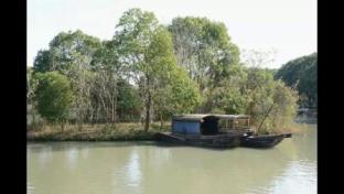 紅色水鄉，詩畫沙家浜——一段穿越歷史與自然的旅程