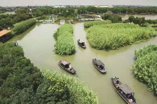 烽火蘆蕩，青春定向 2019首屆華僑城杯沙家浜紅色定向賽邀您啟程